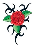 A Thorny Rose.jpg