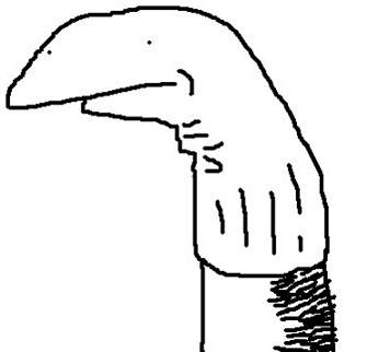 sock.jpg