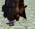 teddy.PNG