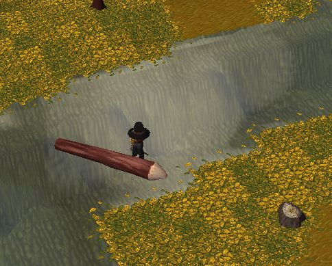 wtf.JPG