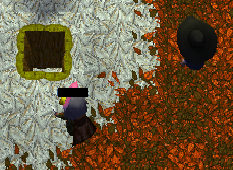 Hole screenie.png
