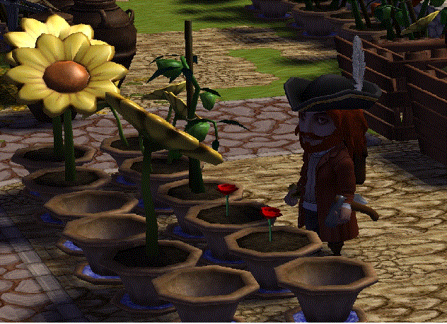 woot_roses.gif