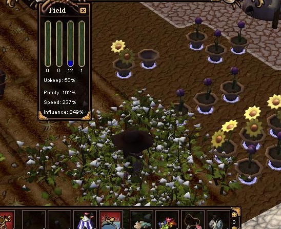 before harvesting.jpg