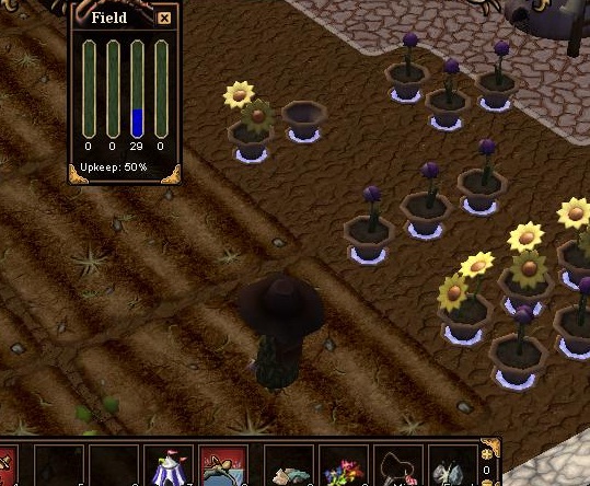 after harvesting.jpg