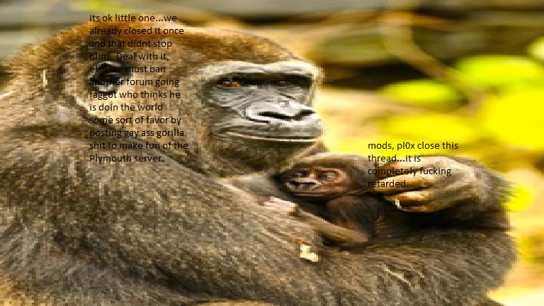 gay ass gorilla pics becuz wtf.jpg