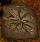 copper node.jpg