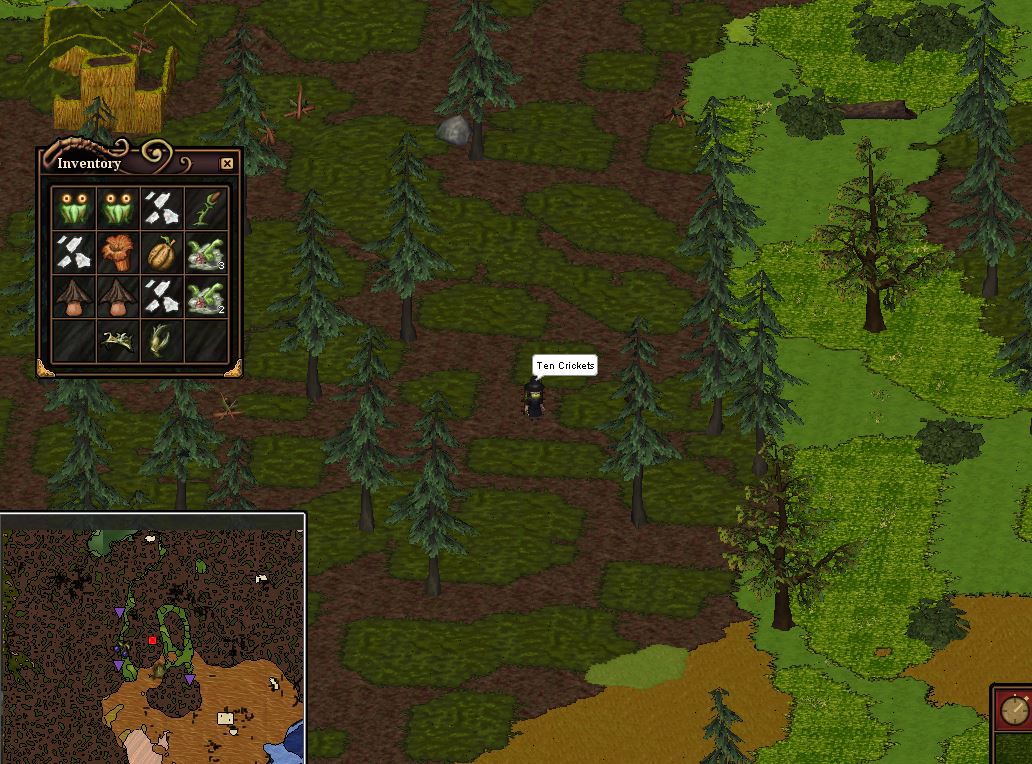 tencrickets.JPG