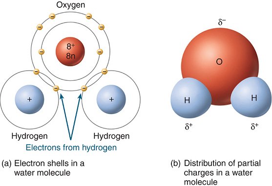 water_molecule.jpg