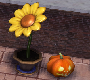 icn.png